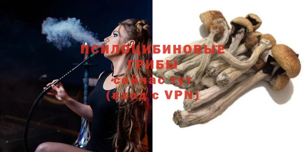 ПСИЛОЦИБИНОВЫЕ ГРИБЫ Алзамай