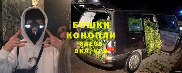 ПСИЛОЦИБИНОВЫЕ ГРИБЫ Алзамай