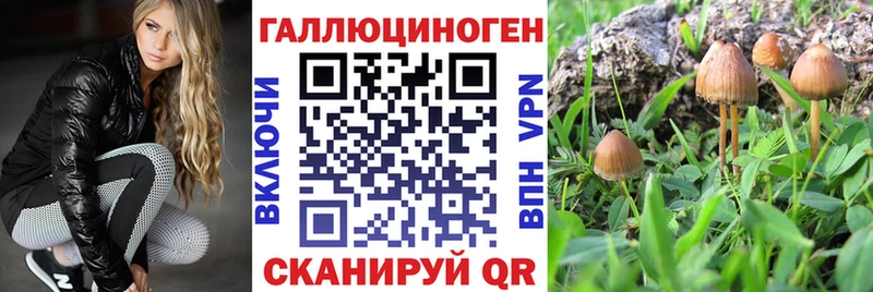 Псилоцибиновые грибы прущие грибы  Сураж 